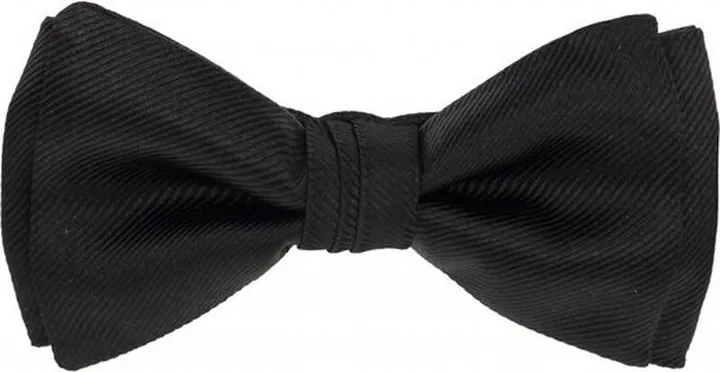 Salvatore Ferragamo Bow Tie