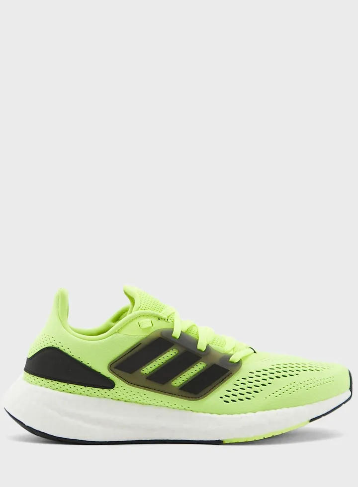 Pureboost 22