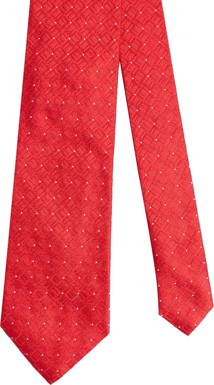 Ties & Bow Ties Red