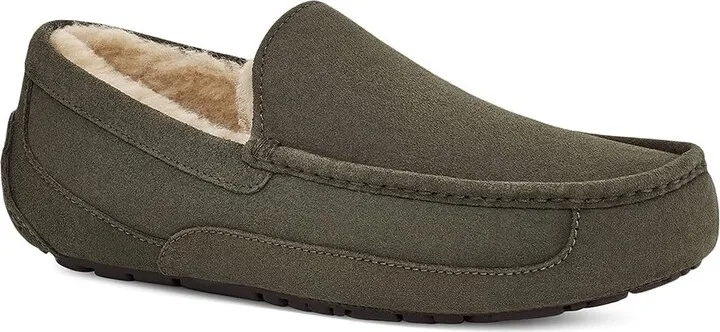 UGG Ascot (Forest Night) Men's Slippers