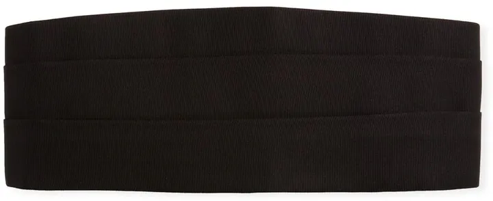 Men's Mulberry Silk Cummerbund