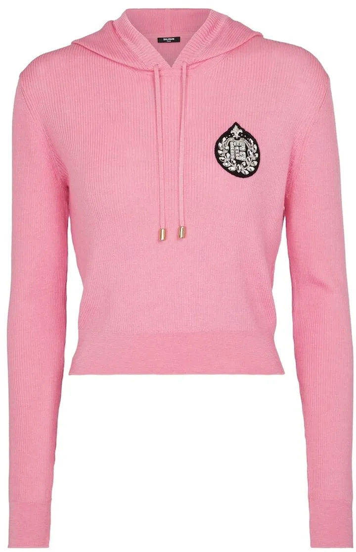 Embellished cashmere and silk hoodie