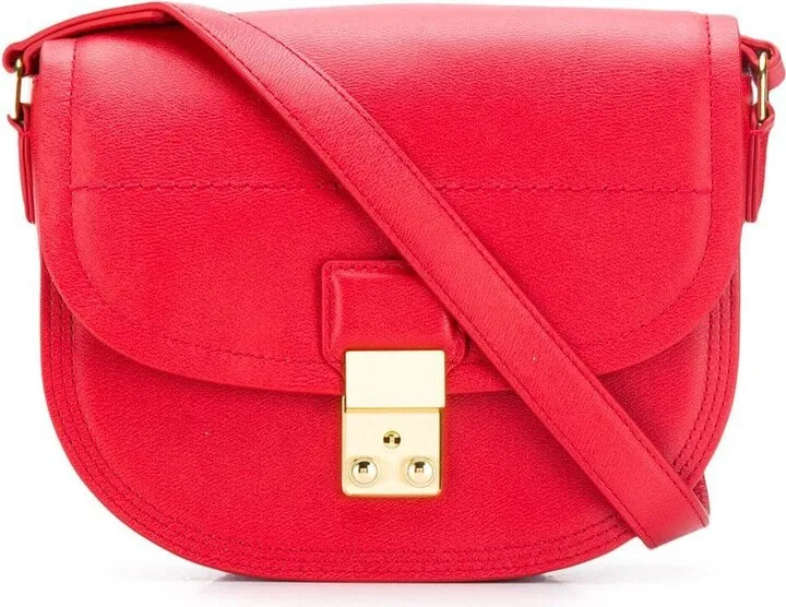 Pashli Saddle crossbody bag