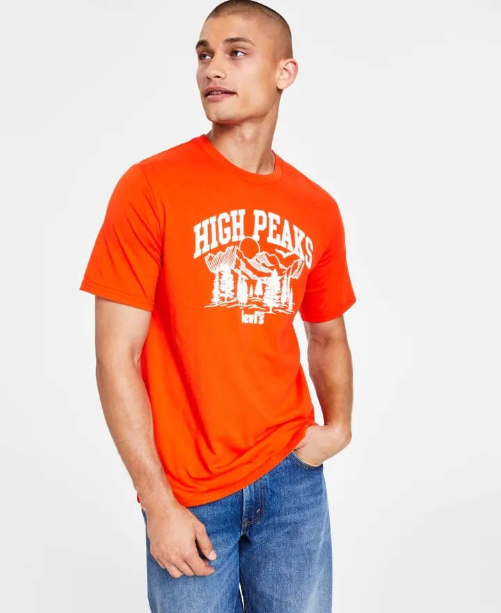 Levi's Men's Relaxed Fit Logo Graphic Crewneck T-Shirt