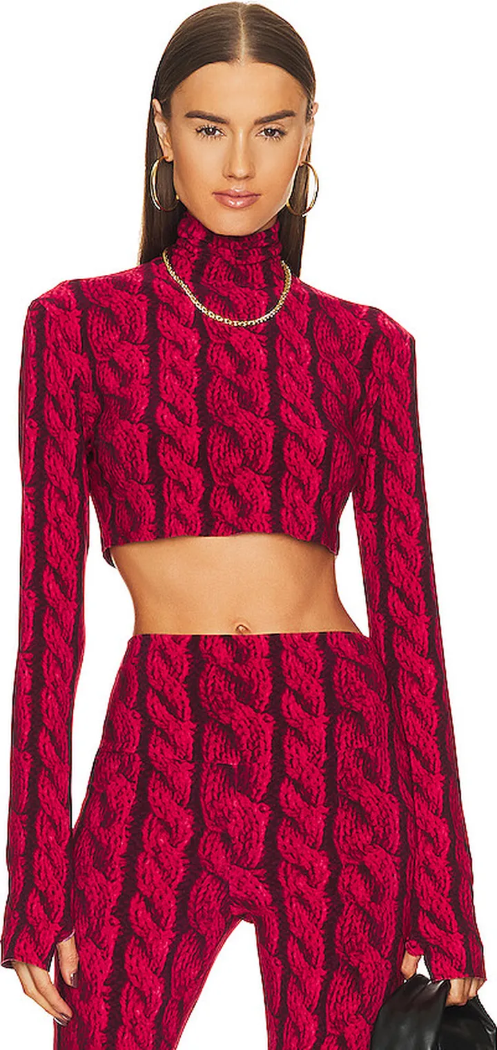 Slimm Fit Turtleneck Cropped Top