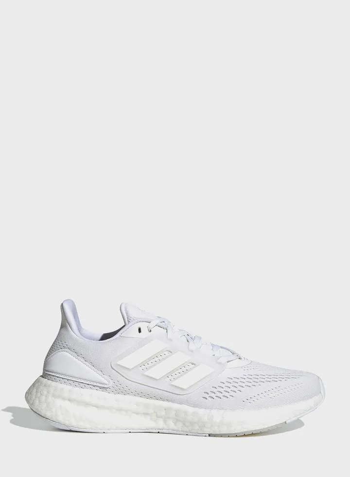 Pureboost 22