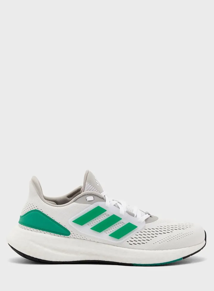 Pureboost 22