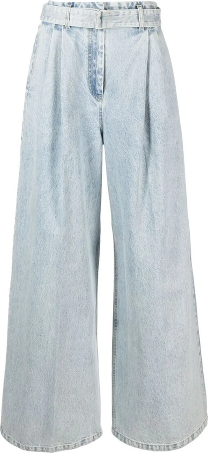 Pleated Wide-Leg Jeans