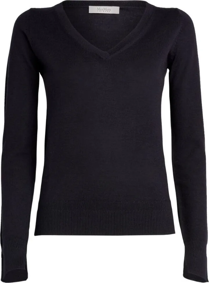 Max Mara Leisure Wool V-Neck Sweater