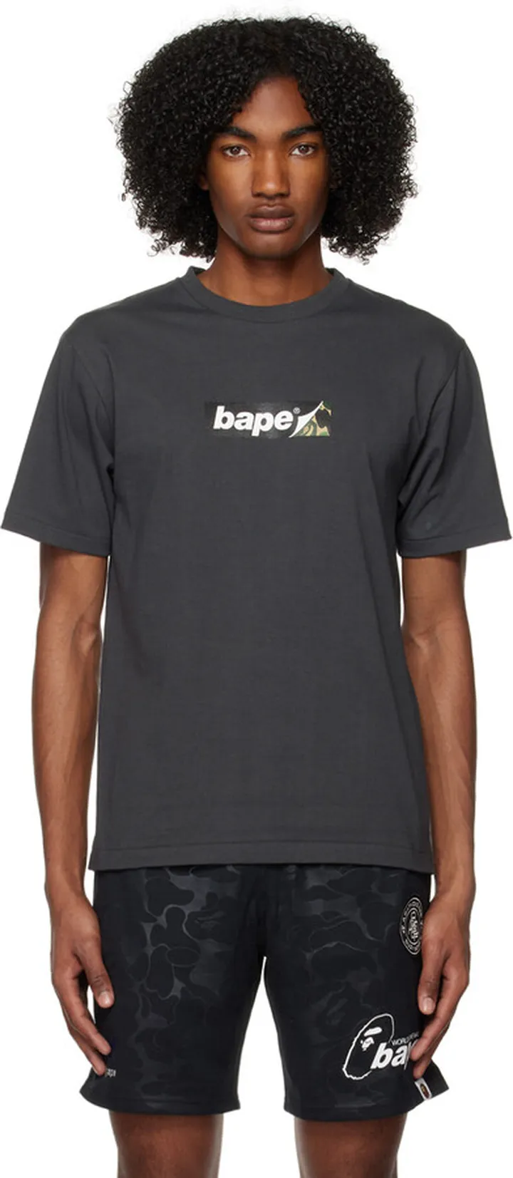 BAPE Gray Archive #6 T-Shirt