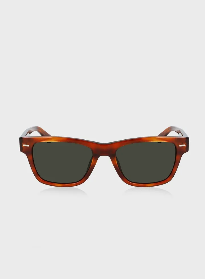 Wayfarer Sunglasses