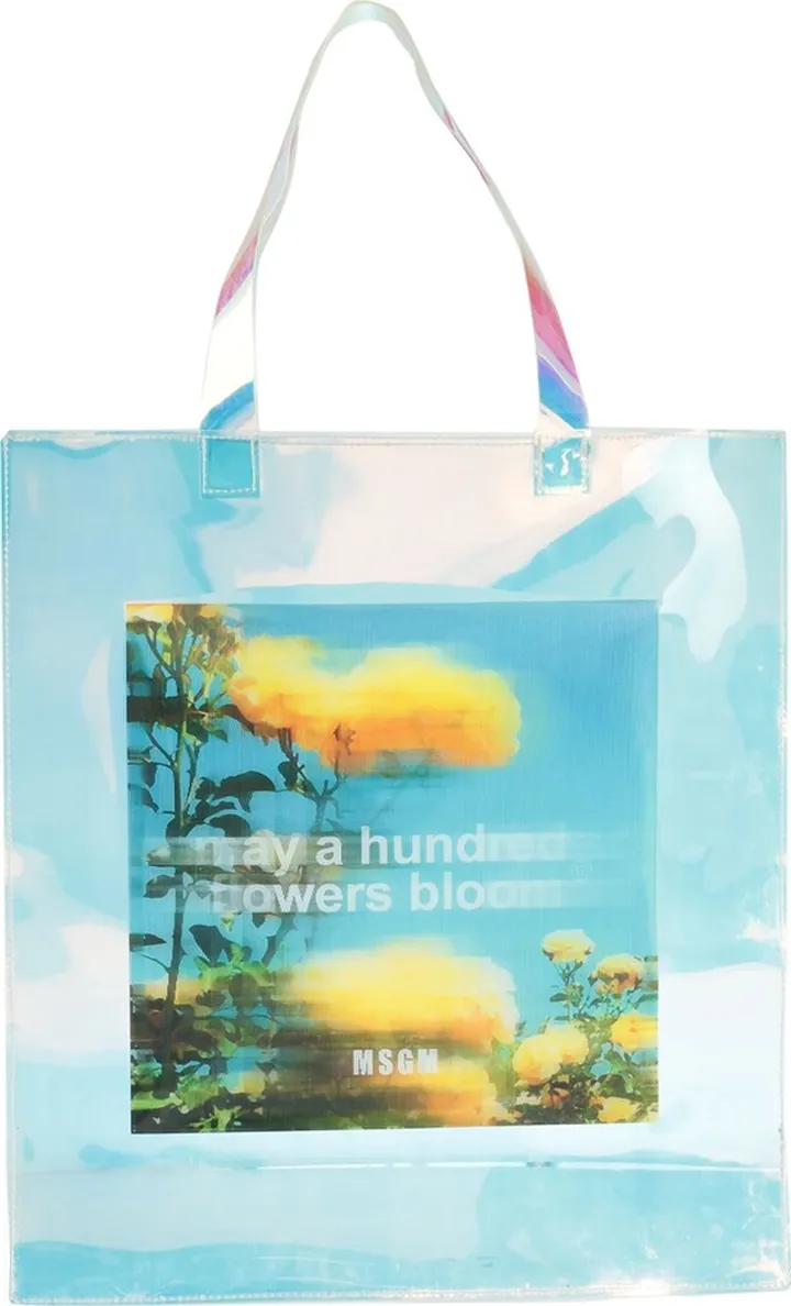 Handbag Transparent