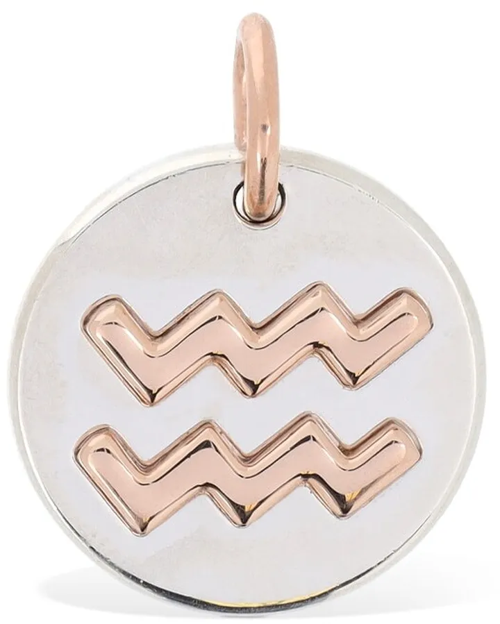 9kt Rose gold & silver Aquarius charm