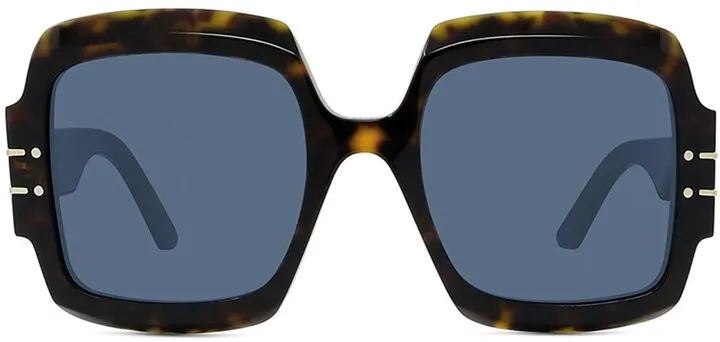 Signature 55mm Butterfly Sunglasses
