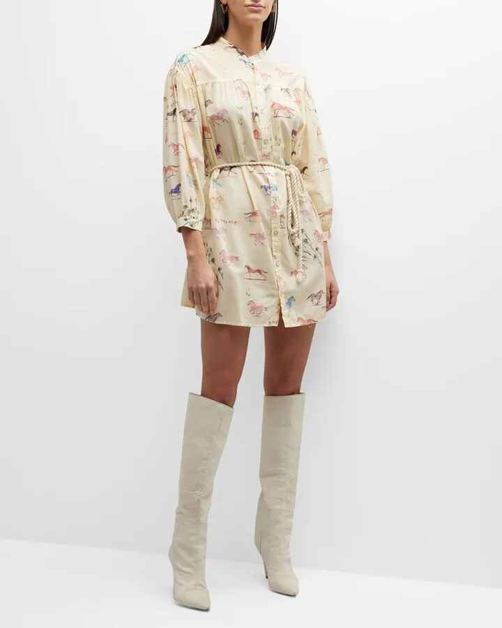 The New To Town Mini Shirtdress