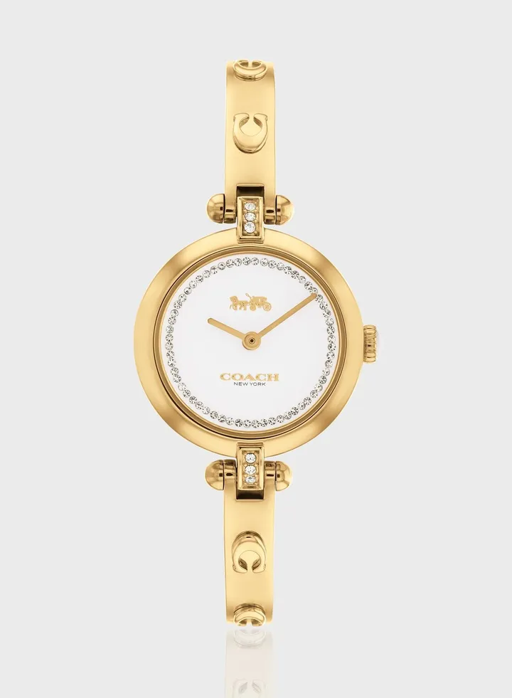 Cary Steel Strap Analog Watch