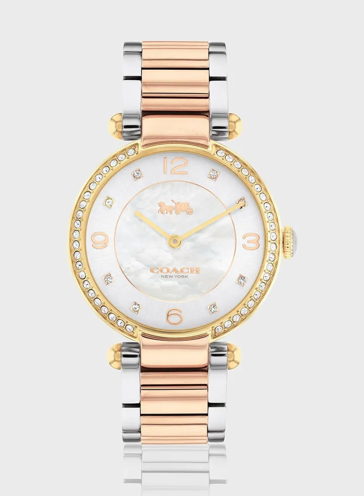 Cary Analog Watch