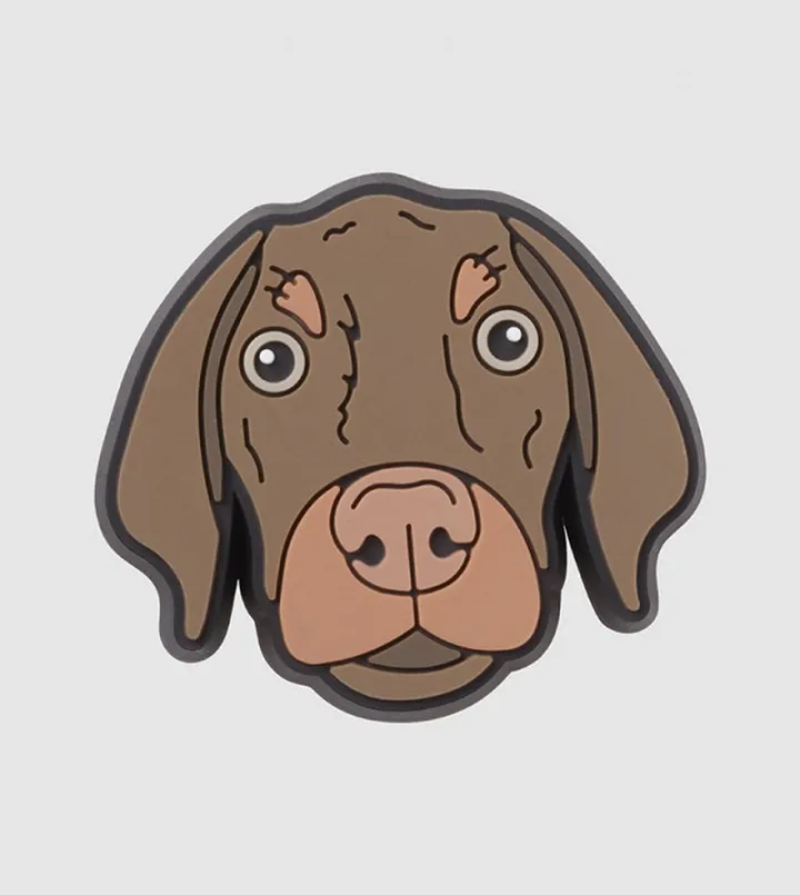 Bronny Dog