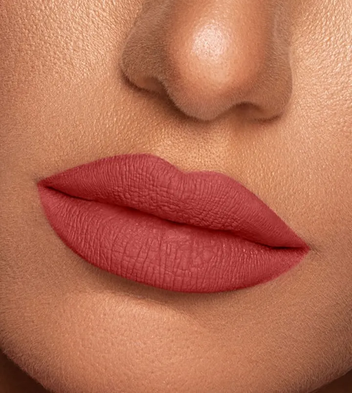 Vibrant Finish Matte Lip Paint Flame VL011