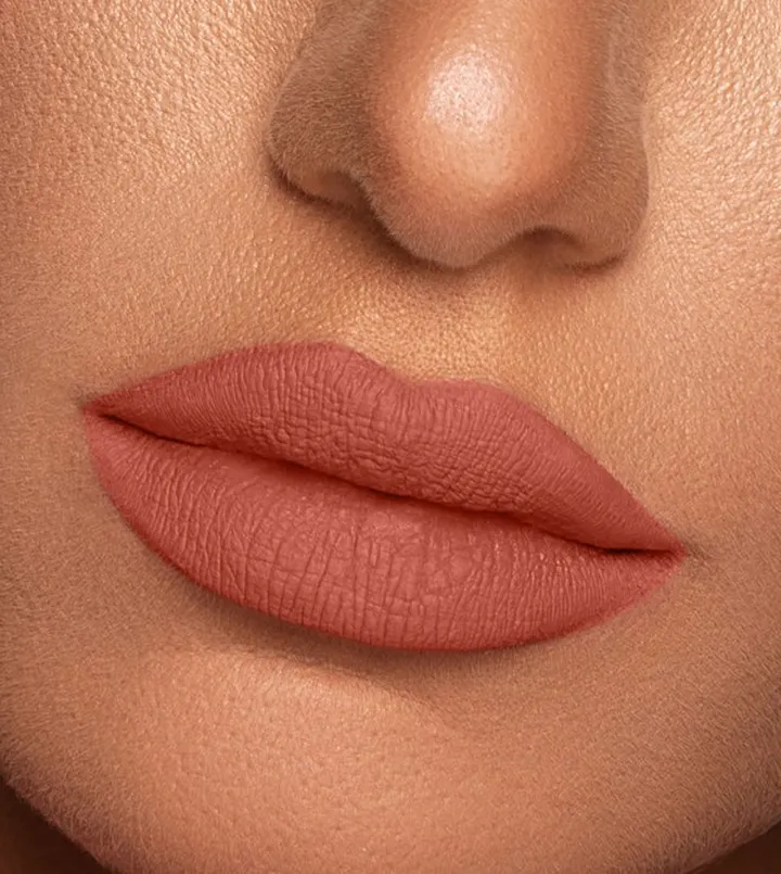Vibrant Finish Matte Lip Paint Flannel VL008