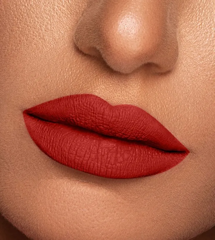 Vibrant Finish Matte Lip Paint Timeless VL005