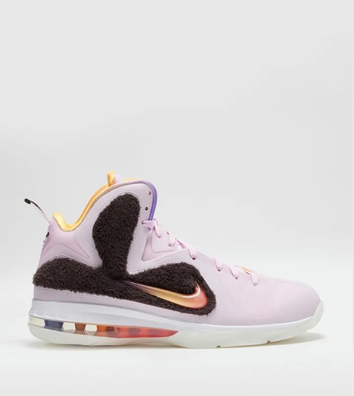 Lebron 9 Mid Top Sneakers