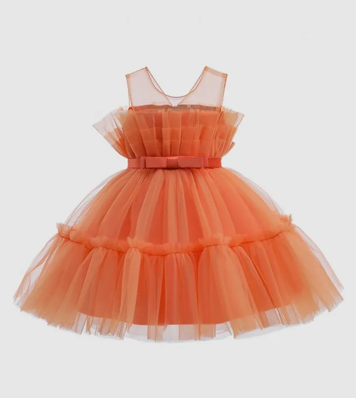 Toddler Girl's Ruffled Tulle Dress