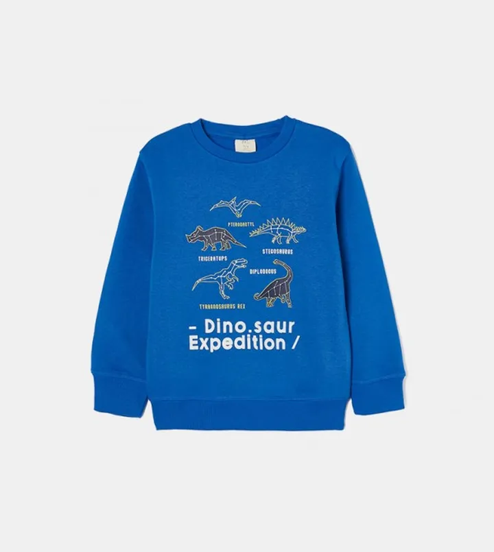 Boys Printed Long Sleeves Sweatshirt