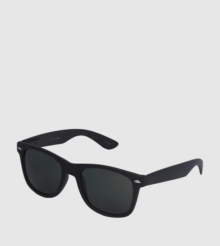 Full Rim Wayfarer Sunglasses