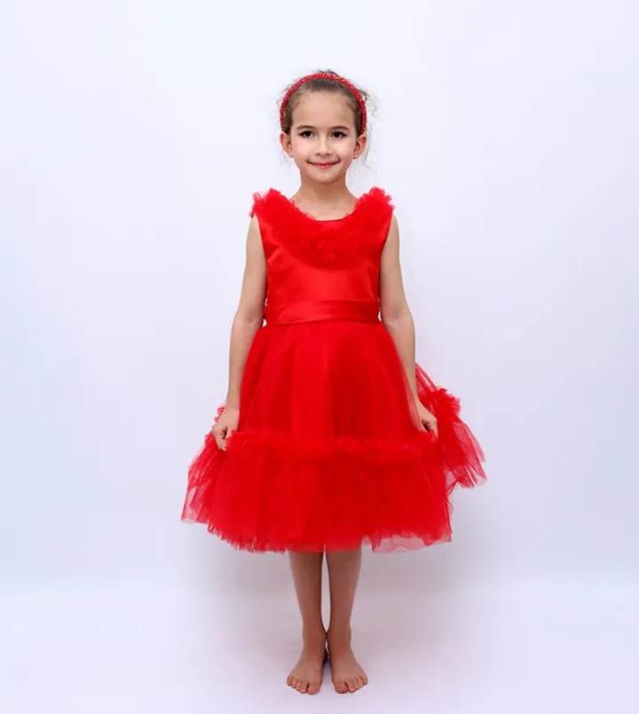 Ruffled Neck Party Tulle Dress