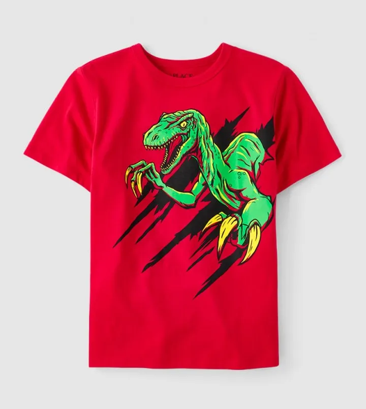 Boys Dino Graphic T-Shirt
