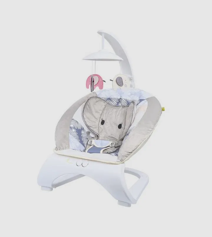 Baby Bouncer with Music