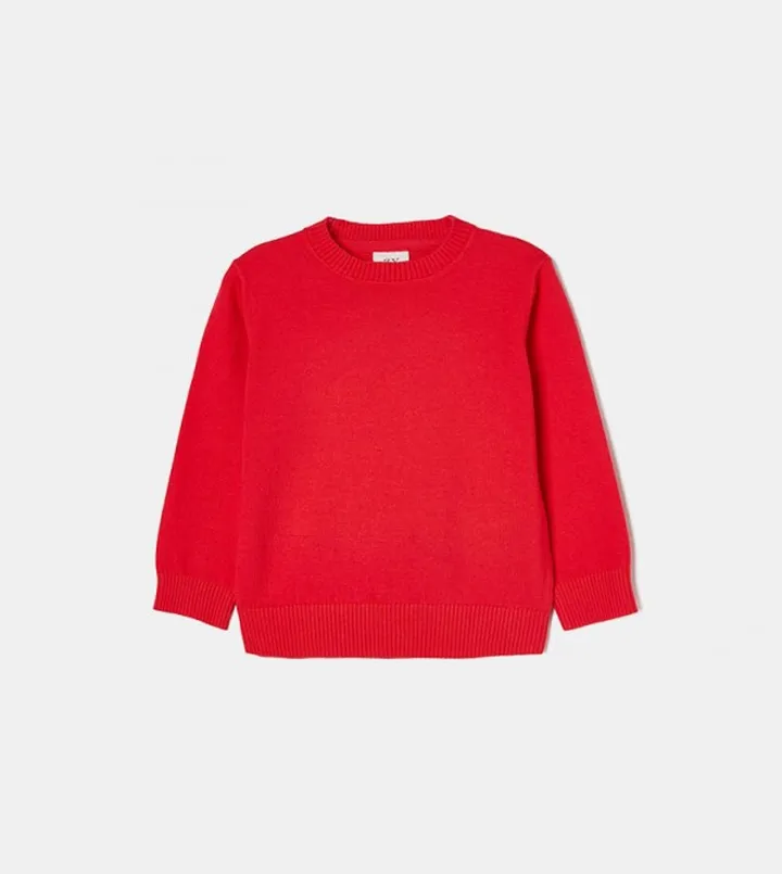 Baby Boys Long Sleeves Cotton Sweatshirt