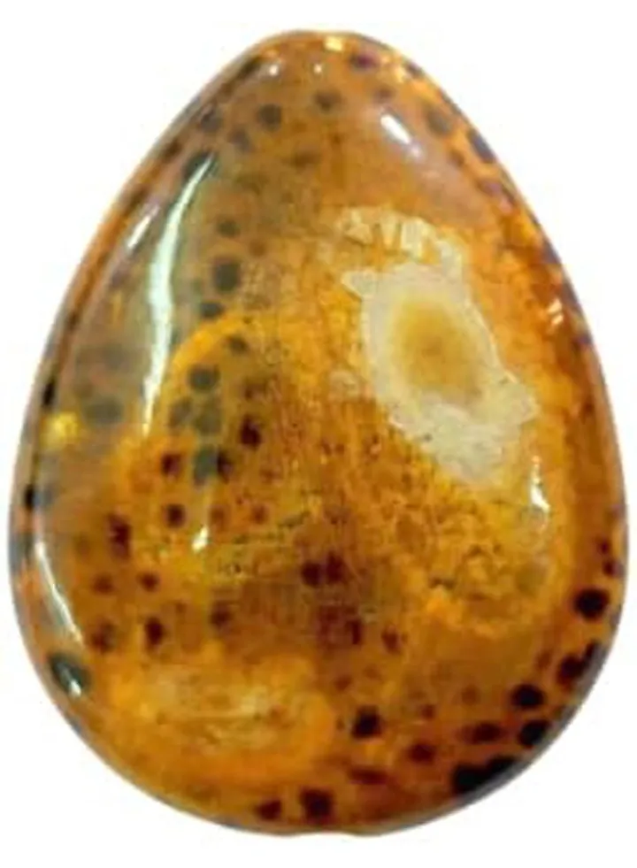 Real & Natural Snake Skin Agate Drilled Gemstone