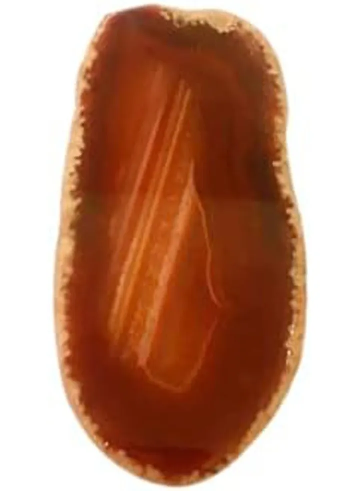 Real Natural Agate Slice Pendant