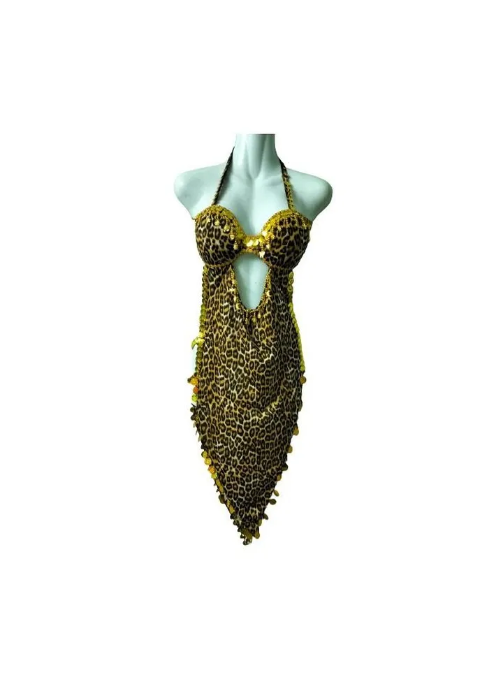 Belly dance costume