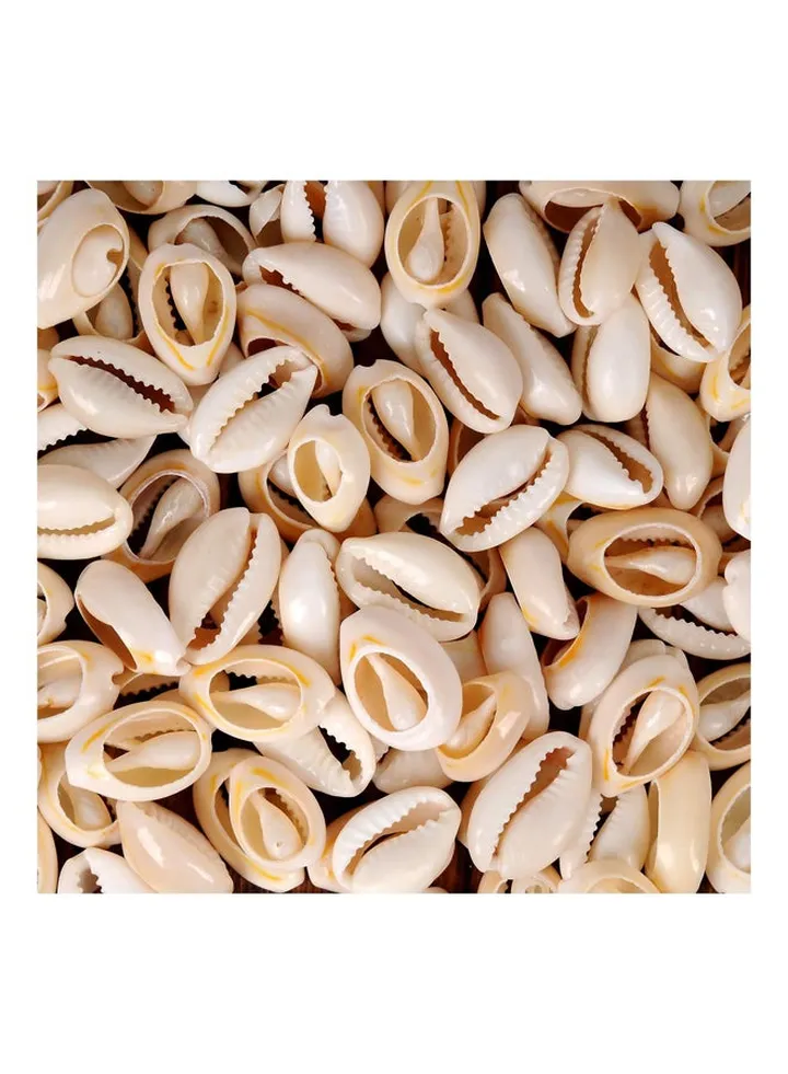 100 Pcs Natural Spiral Seashell Beads (16-18mm)