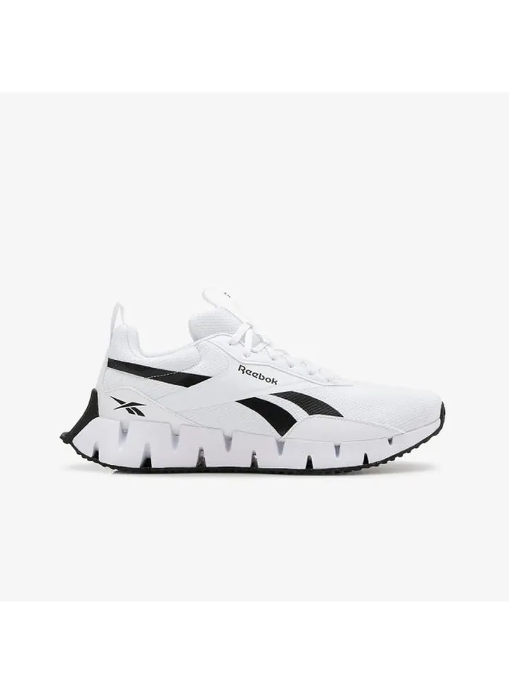 Zig Dynamica Running Shoes