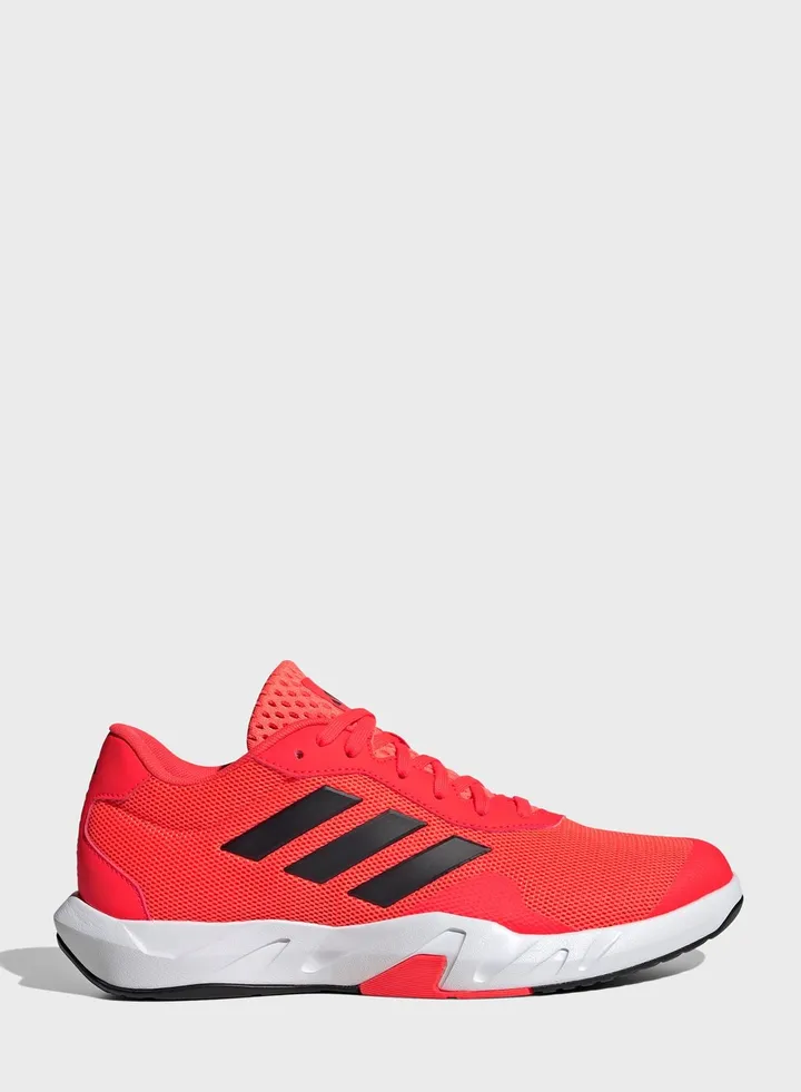 Amplimove Trainer M