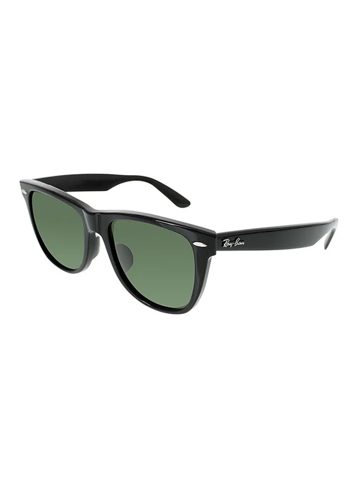 Wayfarer Sunglasses