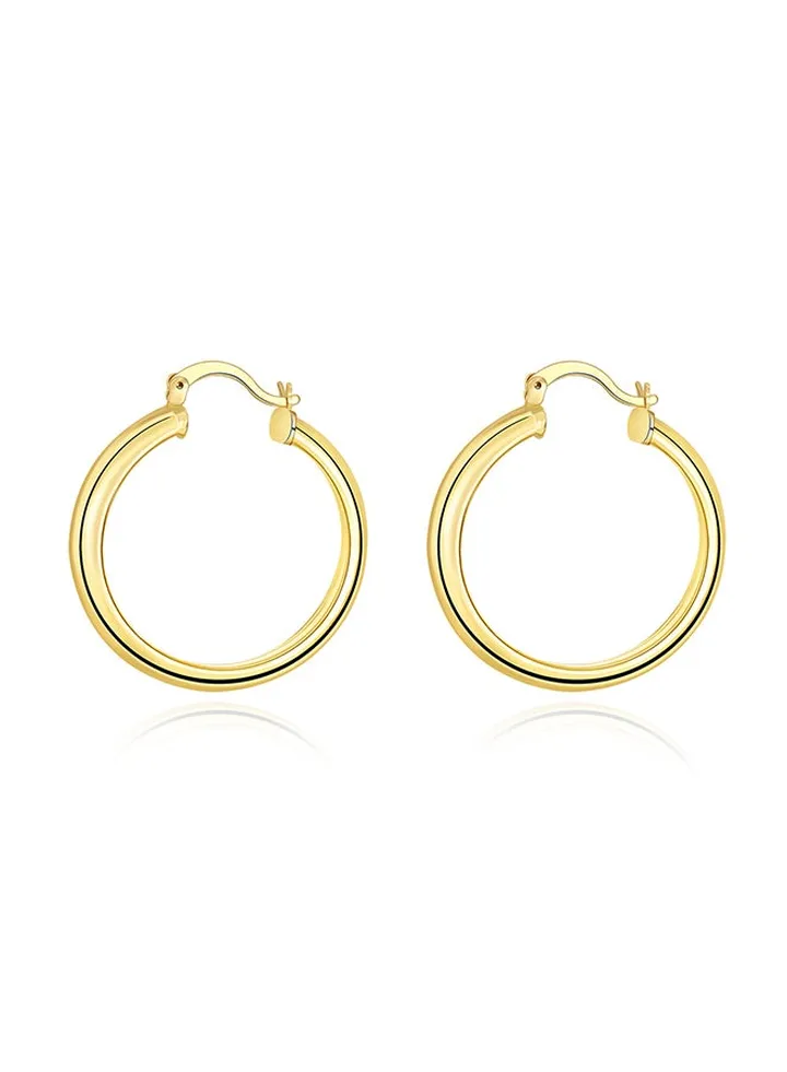 Fashion Ladies Earrings Ake065