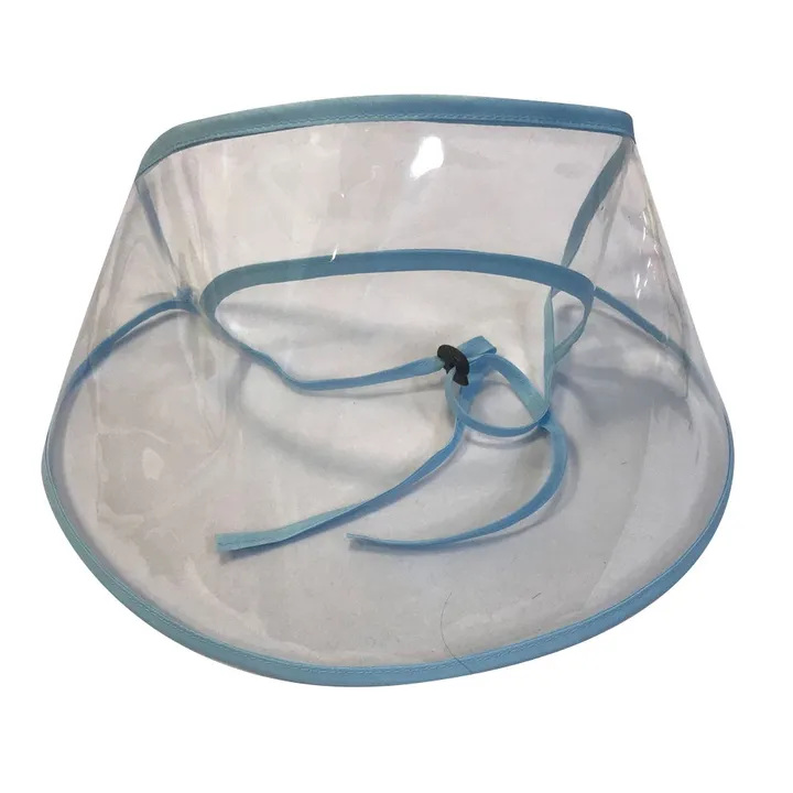 Protective Face Shield Blue/Clear