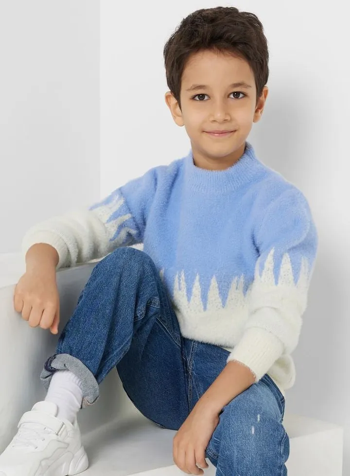 Boys Crew Neck Colorblock Sweater