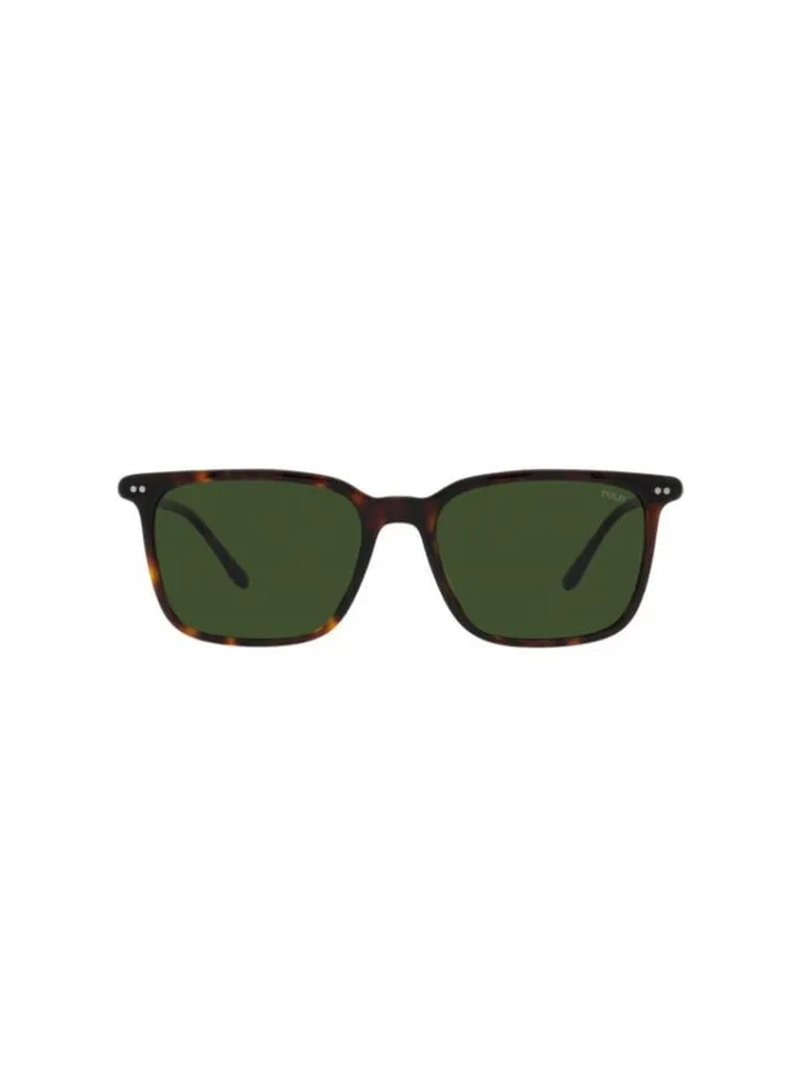 Full Rim Square Sunglasses 4194U-56-5003-71