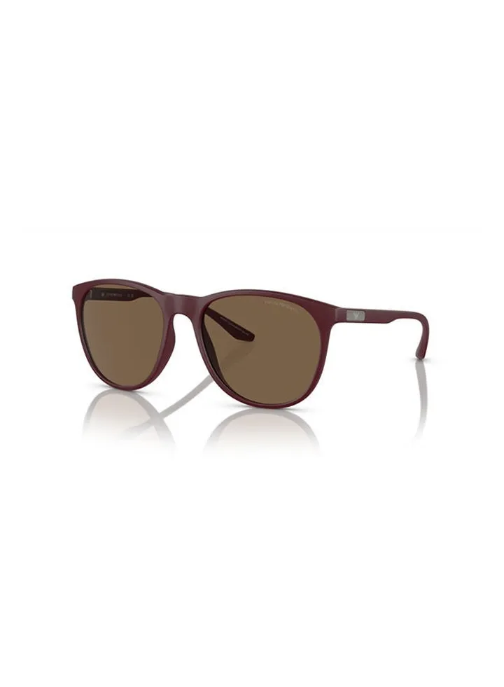 Men's Full Rim Oval Sunglasses 0EA4210 56 526173