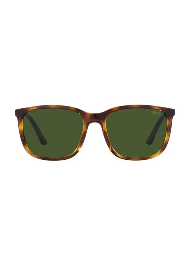 Full Rim Square Sunglasses 4185U-56-5003-71