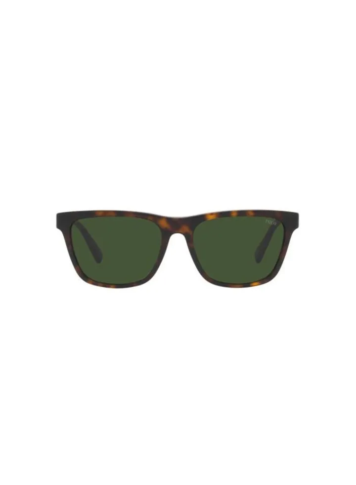Full Rim Square Sunglasses 4167-56-5003-71