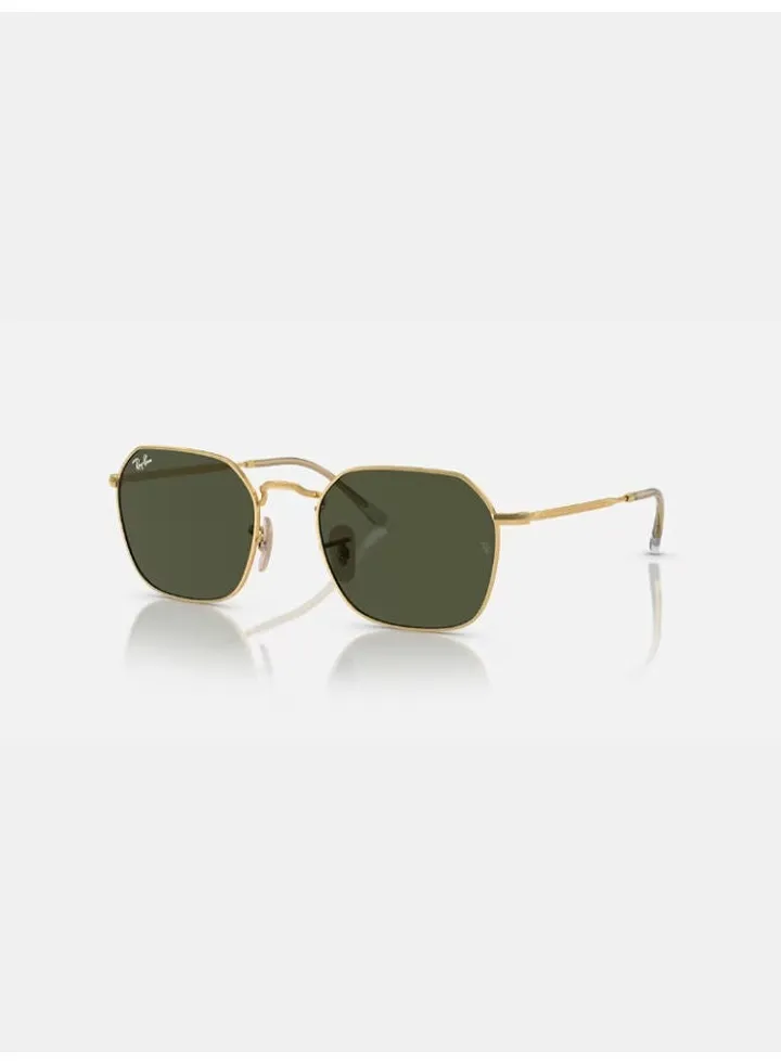 Full Rim Hexagon Sunglasses 3694-53-001-31