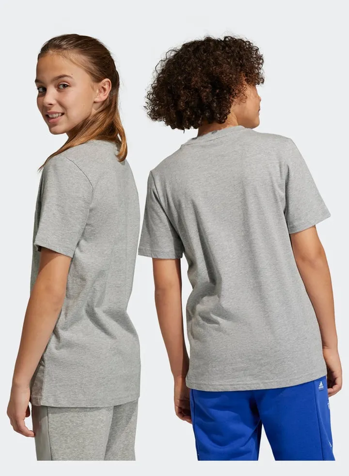 Essentials Big Logo Cotton T-Shirt