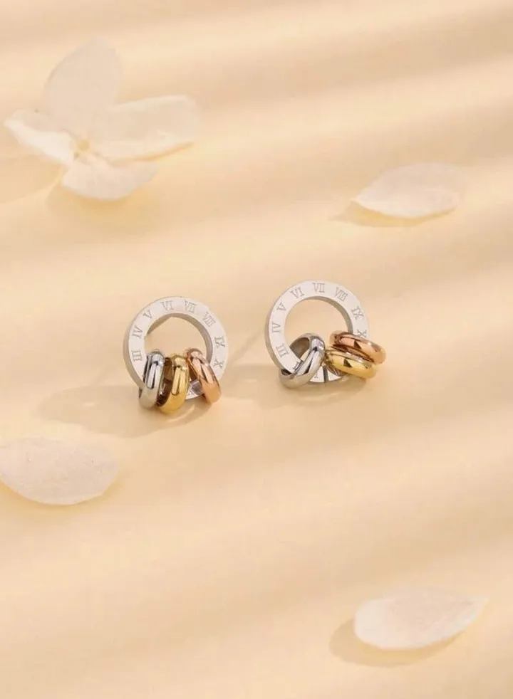 Elegant And Modern Stainless Steel Earring For Women